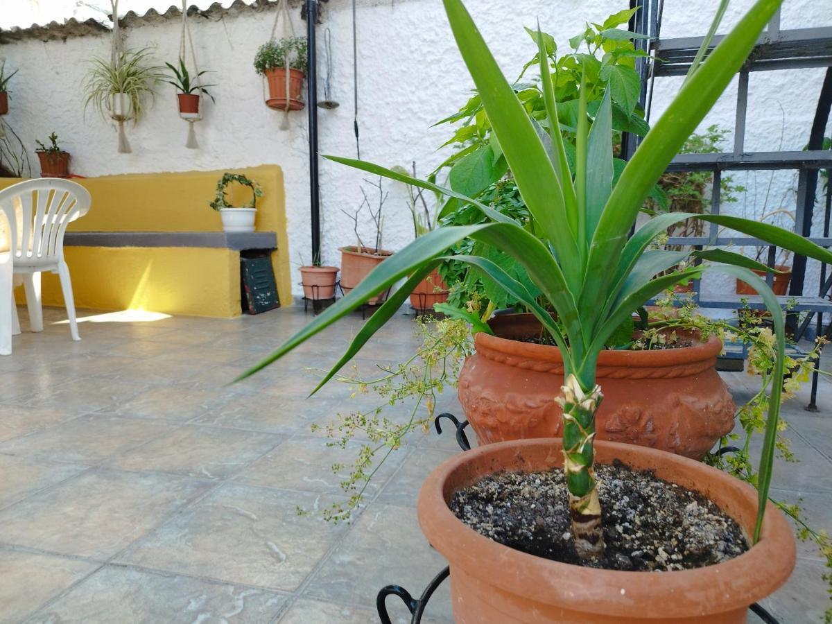 Voulas Guest House Βόλος Εξωτερικό φωτογραφία