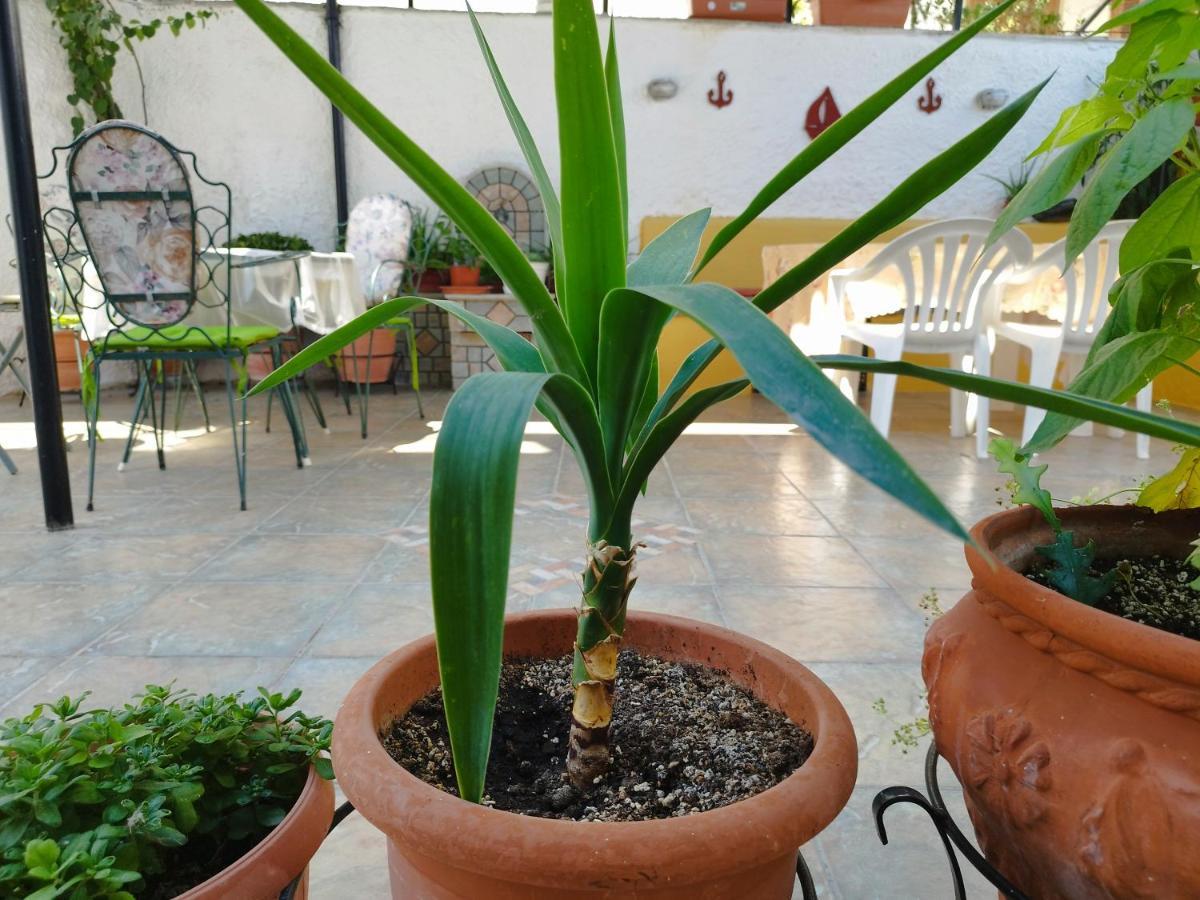Voulas Guest House Βόλος Εξωτερικό φωτογραφία
