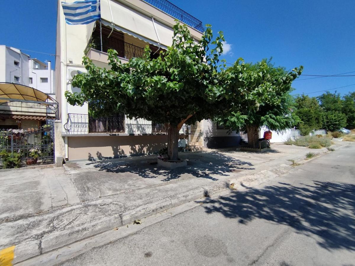 Voulas Guest House Βόλος Εξωτερικό φωτογραφία